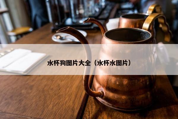 水杯狗图片大全（水杯水图片）