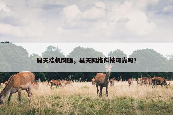 昊天挂机网赚，昊天网络科技可靠吗?