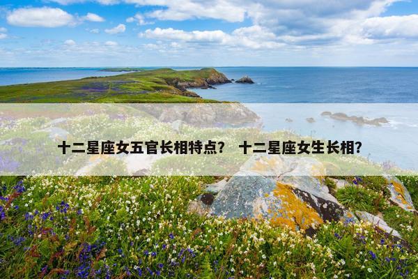 十二星座女五官长相特点？ 十二星座女生长相？
