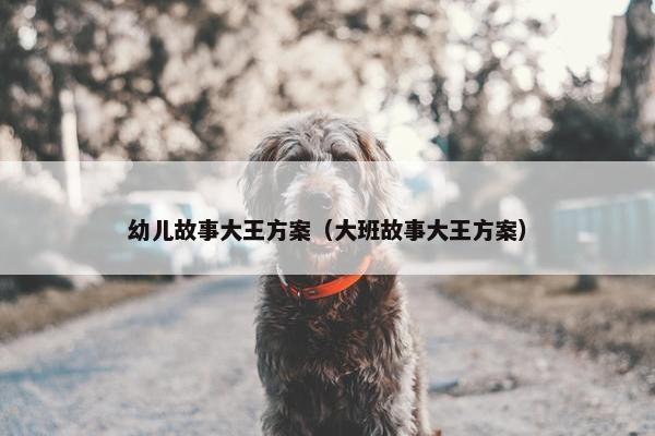 幼儿故事大王方案（大班故事大王方案）