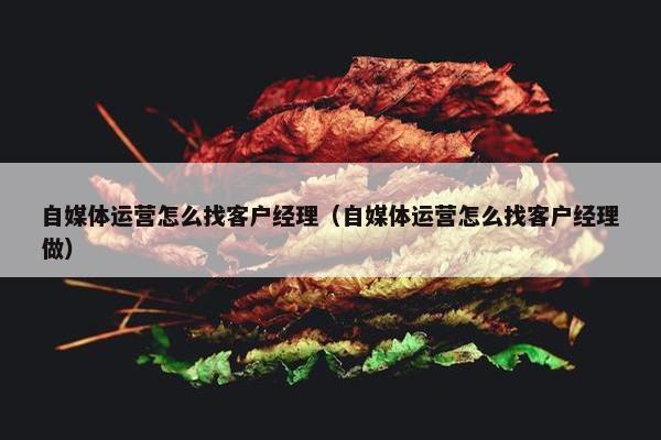 自媒体运营怎么找客户经理（自媒体运营怎么找客户经理做）