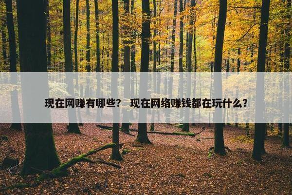现在网赚有哪些？ 现在网络赚钱都在玩什么？