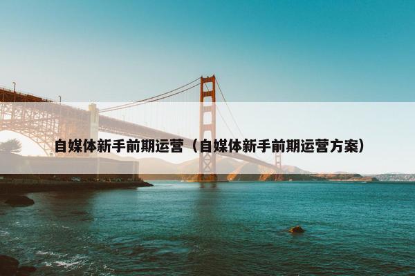 自媒体新手前期运营（自媒体新手前期运营方案）