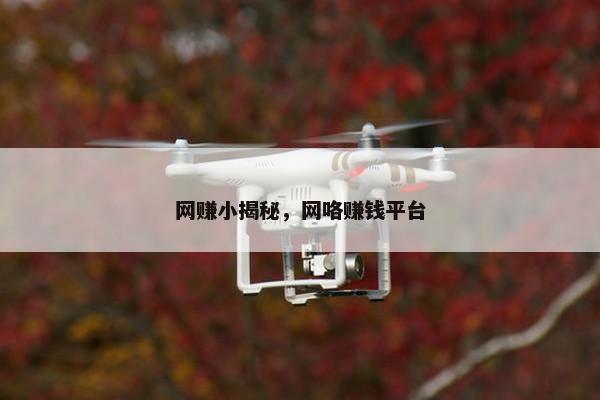 网赚小揭秘，网咯赚钱平台