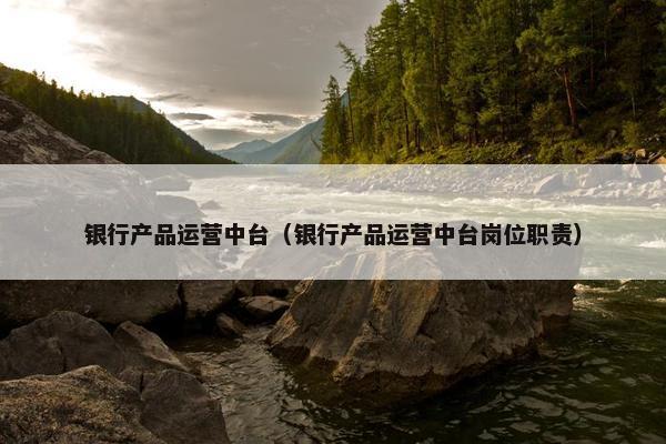 银行产品运营中台（银行产品运营中台岗位职责）