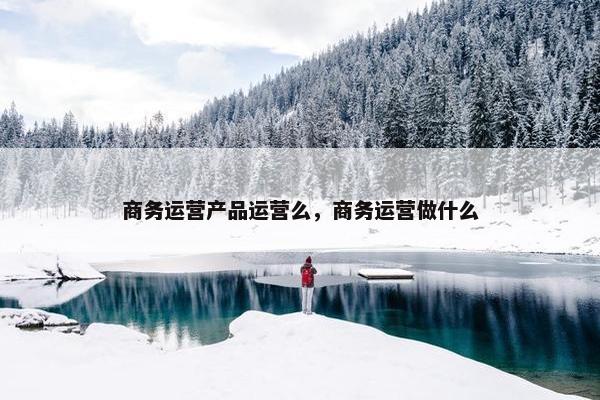 商务运营产品运营么，商务运营做什么