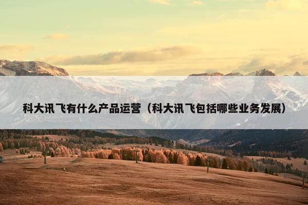 科大讯飞有什么产品运营（科大讯飞包括哪些业务发展）