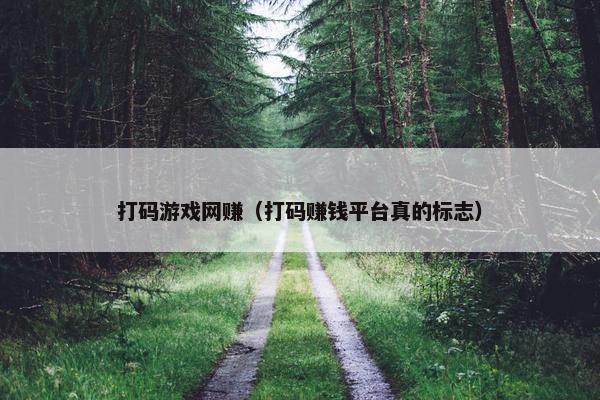 打码游戏网赚（打码赚钱平台真的标志）