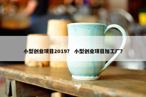 小型创业项目2019？ 小型创业项目加工厂？