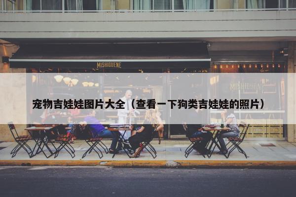 宠物吉娃娃图片大全（查看一下狗类吉娃娃的照片）