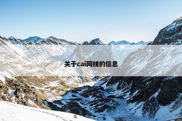 关于cai网赚的信息