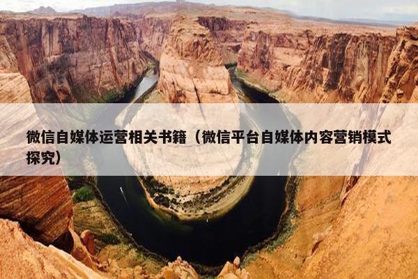 微信自媒体运营相关书籍（微信平台自媒体内容营销模式探究）