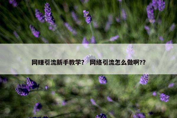 网赚引流新手教学？ 网络引流怎么做啊?？