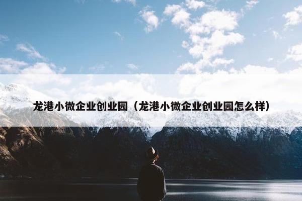 龙港小微企业创业园（龙港小微企业创业园怎么样）
