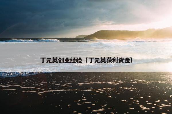 丁元英创业经验（丁元英获利资金）