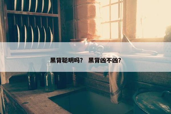 黑背聪明吗？ 黑背凶不凶？