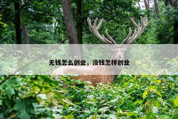无钱怎么创业，没钱怎样创业