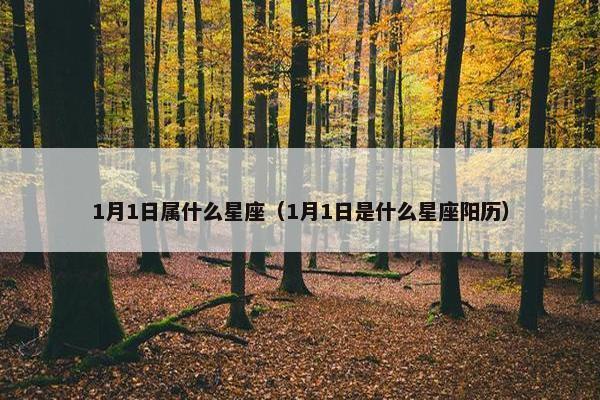 1月1日属什么星座（1月1日是什么星座阳历）
