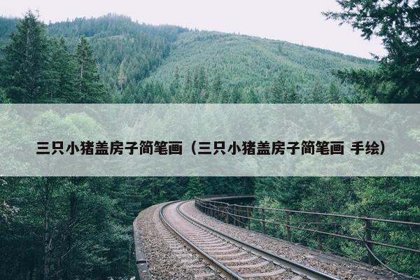 三只小猪盖房子简笔画（三只小猪盖房子简笔画 手绘）