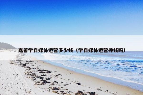 嘉善学自媒体运营多少钱（学自媒体运营挣钱吗）