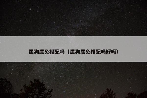 属狗属兔相配吗（属狗属兔相配吗好吗）