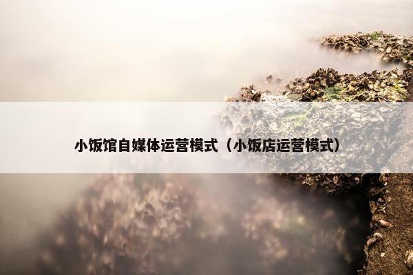 小饭馆自媒体运营模式（小饭店运营模式）