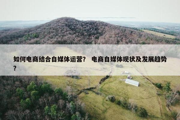 如何电商结合自媒体运营？ 电商自媒体现状及发展趋势？