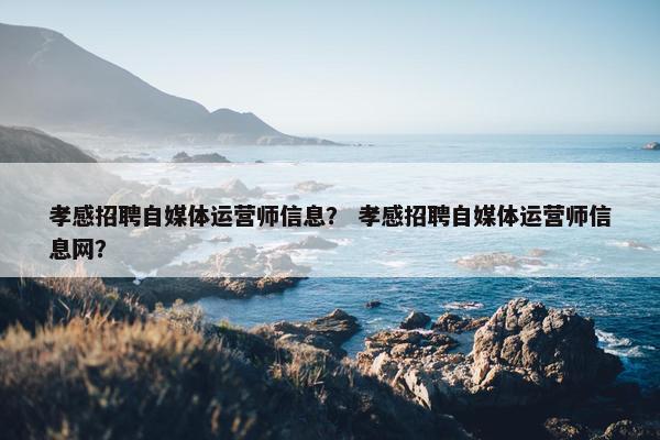 孝感招聘自媒体运营师信息？ 孝感招聘自媒体运营师信息网？