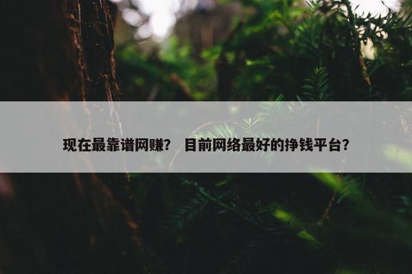 现在最靠谱网赚？ 目前网络最好的挣钱平台？