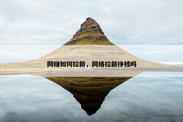 网赚如何拉新，网络拉新挣钱吗