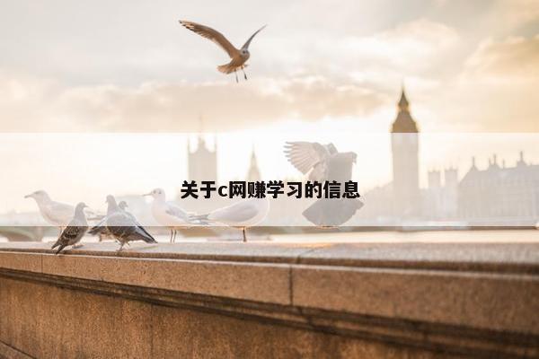 关于c网赚学习的信息
