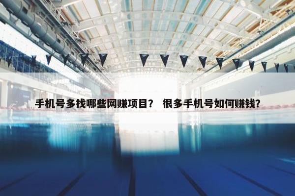 手机号多找哪些网赚项目？ 很多手机号如何赚钱？