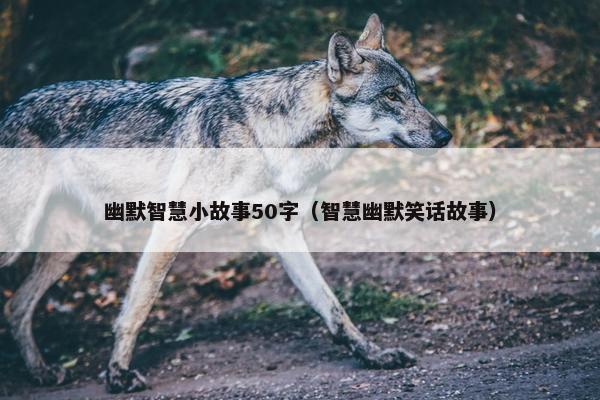 幽默智慧小故事50字（智慧幽默笑话故事）