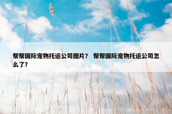 帮帮国际宠物托运公司图片？ 帮帮国际宠物托运公司怎么了？