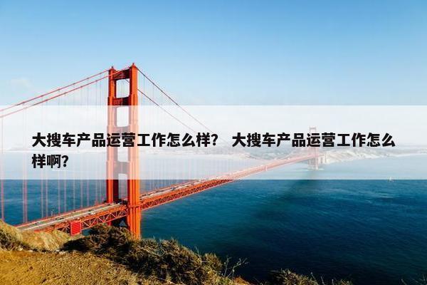 大搜车产品运营工作怎么样？ 大搜车产品运营工作怎么样啊？