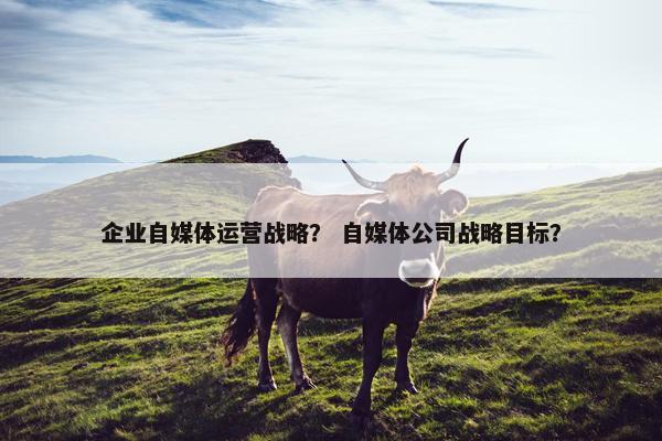 企业自媒体运营战略？ 自媒体公司战略目标？