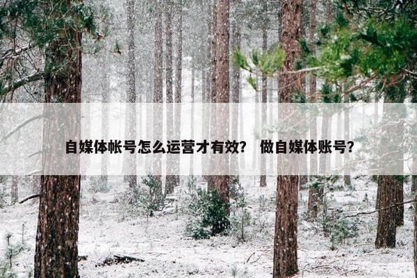 自媒体帐号怎么运营才有效？ 做自媒体账号？
