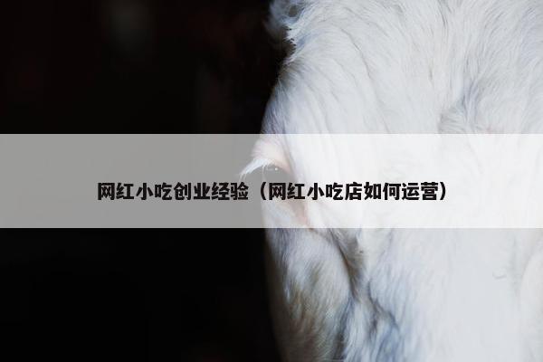网红小吃创业经验（网红小吃店如何运营）