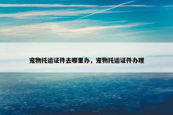 宠物托运证件去哪里办，宠物托运证件办理