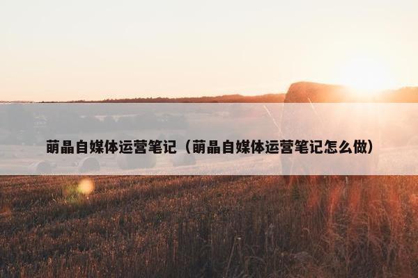 萌晶自媒体运营笔记（萌晶自媒体运营笔记怎么做）