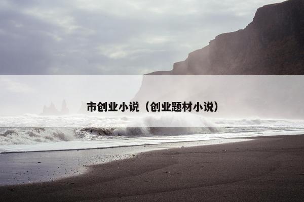 市创业小说（创业题材小说）