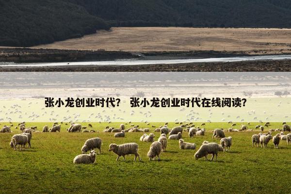 张小龙创业时代？ 张小龙创业时代在线阅读？