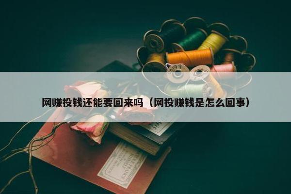 网赚投钱还能要回来吗（网投赚钱是怎么回事）