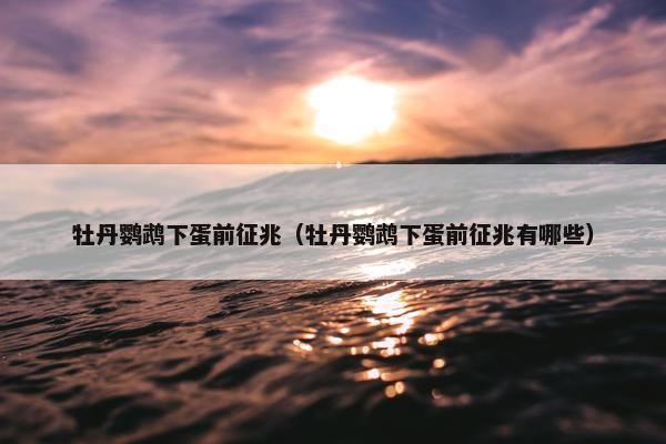 牡丹鹦鹉下蛋前征兆（牡丹鹦鹉下蛋前征兆有哪些）