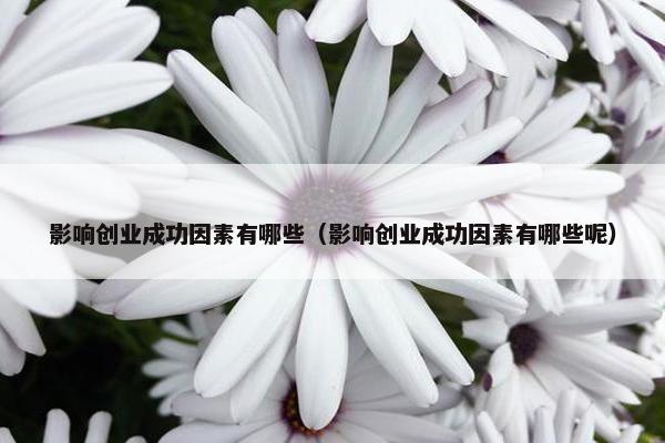 影响创业成功因素有哪些（影响创业成功因素有哪些呢）