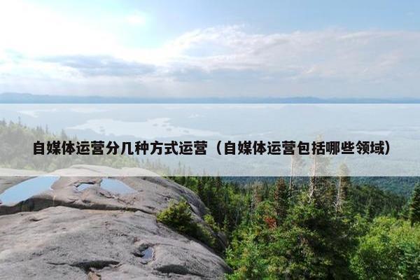 自媒体运营分几种方式运营（自媒体运营包括哪些领域）