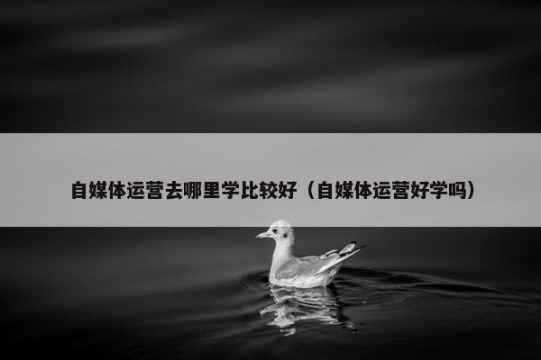 自媒体运营去哪里学比较好（自媒体运营好学吗）