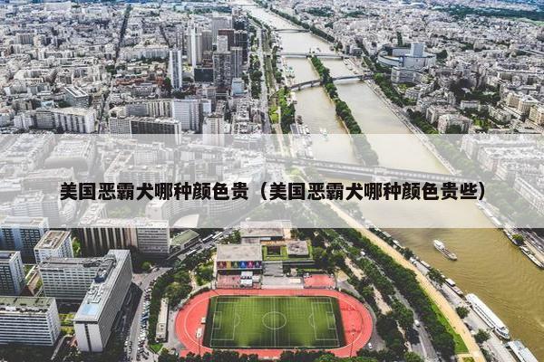 美国恶霸犬哪种颜色贵（美国恶霸犬哪种颜色贵些）