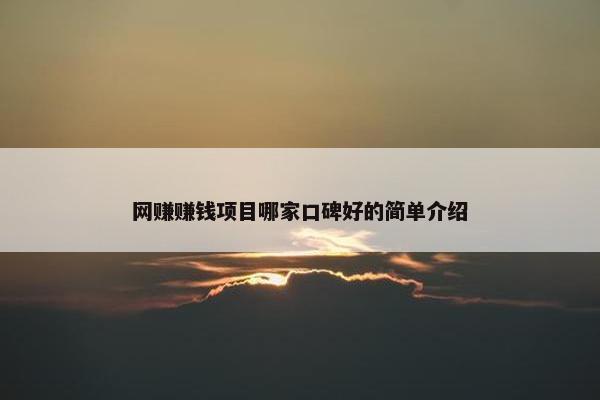 网赚赚钱项目哪家口碑好的简单介绍