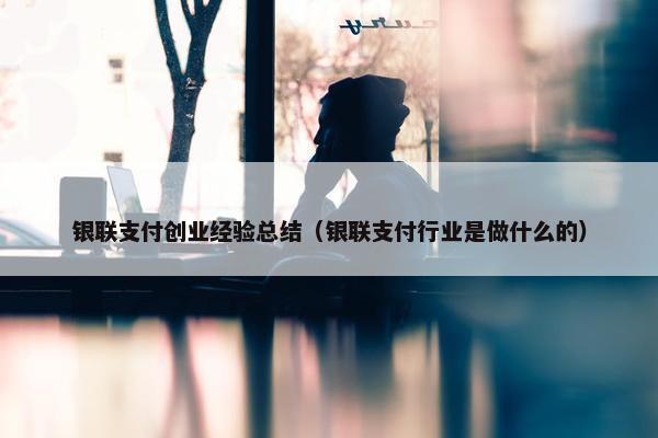 银联支付创业经验总结（银联支付行业是做什么的）